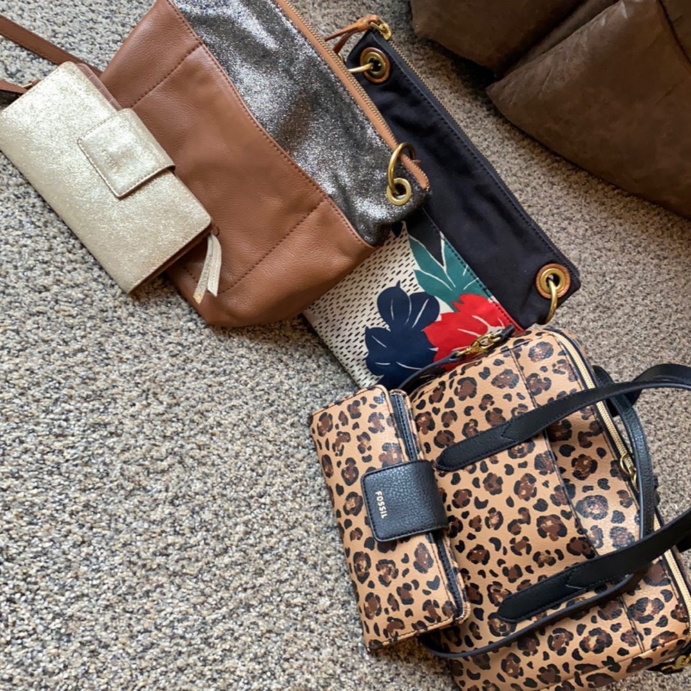 FOSSIL BUNDLE!